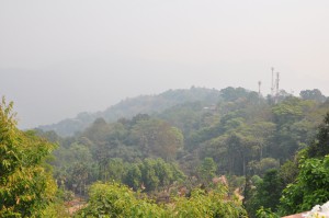 A look down at the forests of Doi Tung. By 1987, because of opium cultivation, less than 30 percent of the natural forest in Doi Tung remained. Today, forest coverage has risen to 90 percent of the total project area, and opium is no longer grown.
